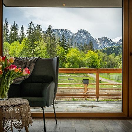 Bialy Mis Apartamenty Art & Design Zakopane Buitenkant foto