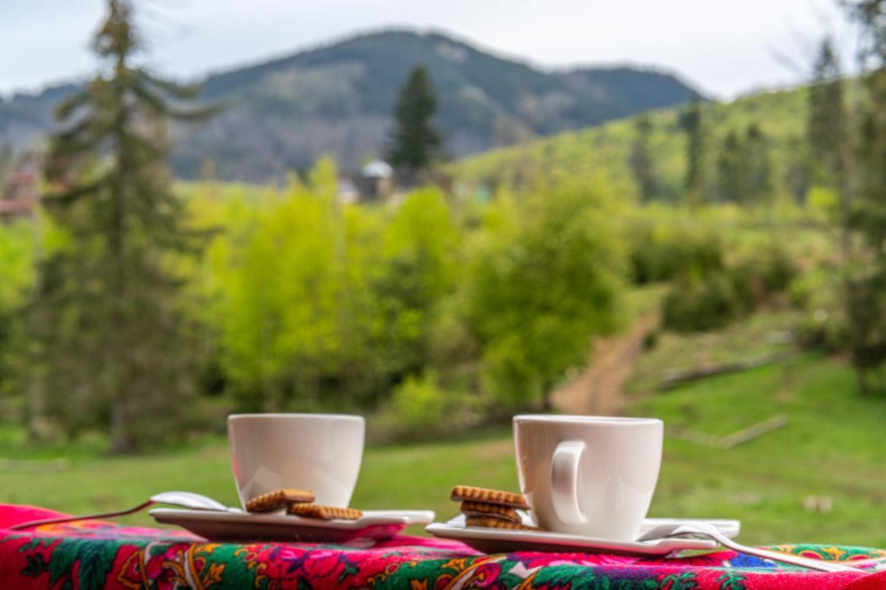 Bialy Mis Apartamenty Art & Design Zakopane Buitenkant foto