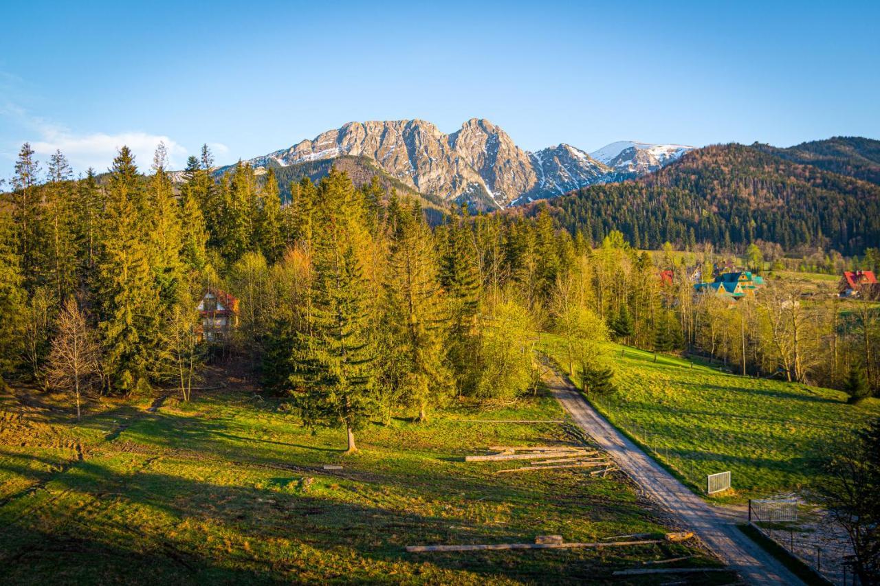 Bialy Mis Apartamenty Art & Design Zakopane Buitenkant foto