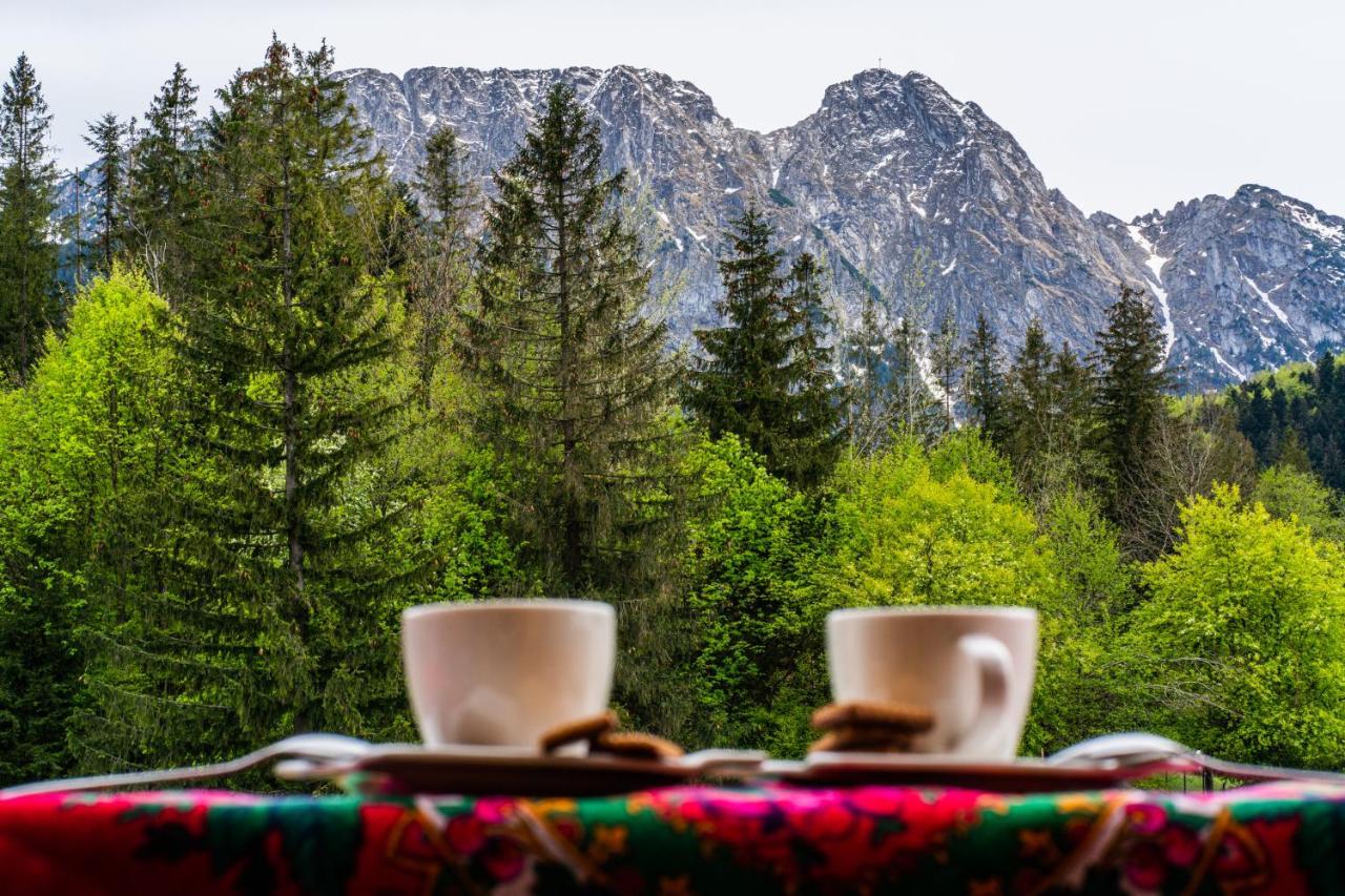 Bialy Mis Apartamenty Art & Design Zakopane Buitenkant foto